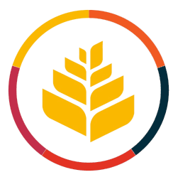 Meta Consultoria Grupo Trigo